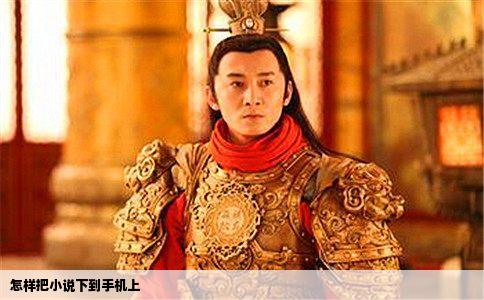 怎样把小说下到手机上