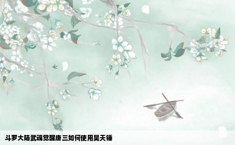 斗罗大陆武魂觉醒唐三如何使用昊天锤